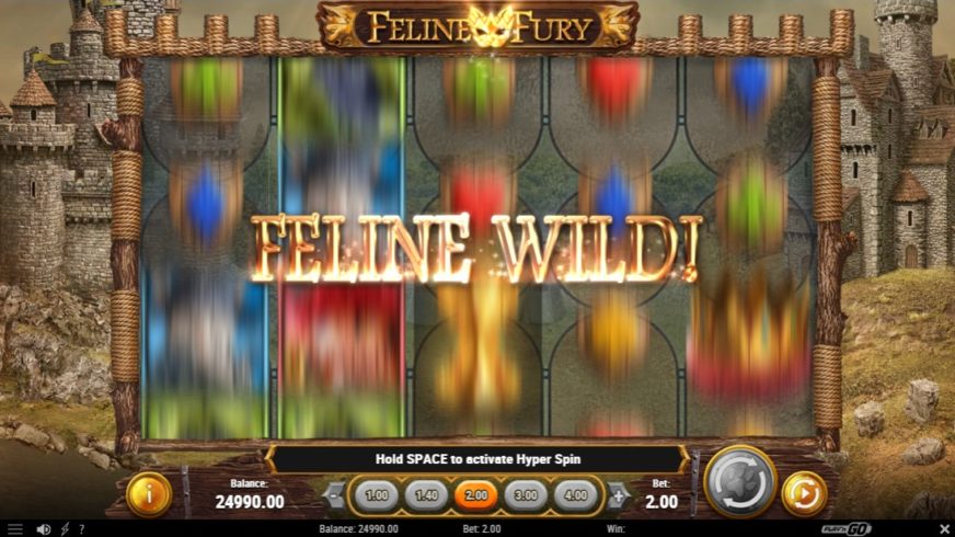 Screenshot 2  Feline Fury